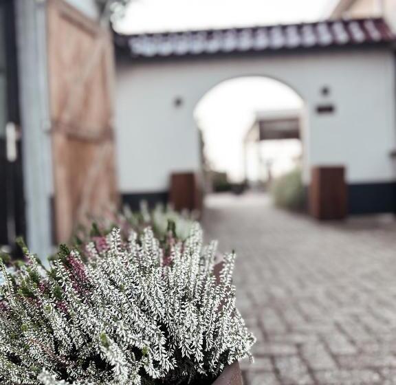 민박 Betuwsch Badhuys