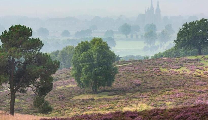 مبيت وإفطار Galerie Maison D Art