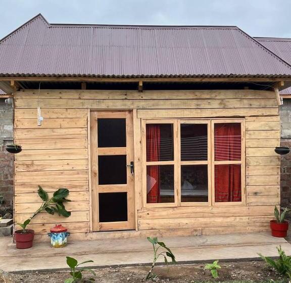 تختخواب و صبحانه Patience Airport Cottages