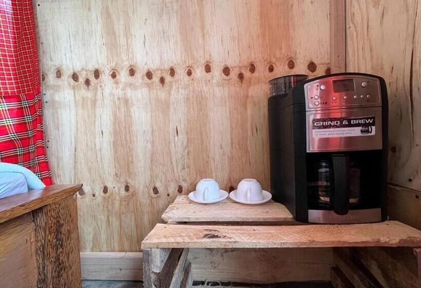 تختخواب و صبحانه Patience Airport Cottages