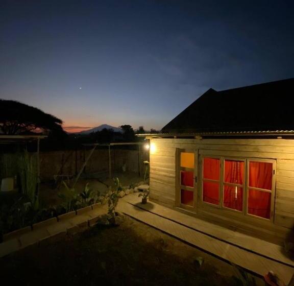 تختخواب و صبحانه Patience Airport Cottages