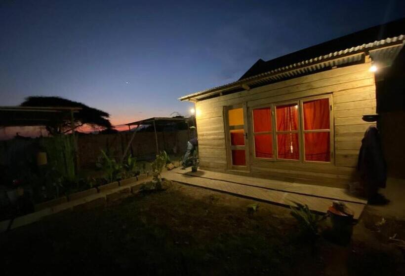 تختخواب و صبحانه Patience Airport Cottages