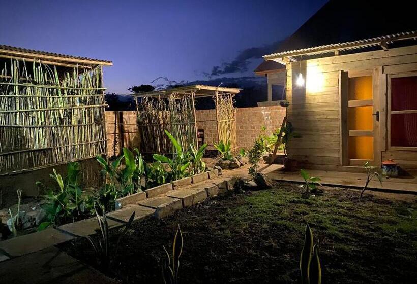 تختخواب و صبحانه Patience Airport Cottages