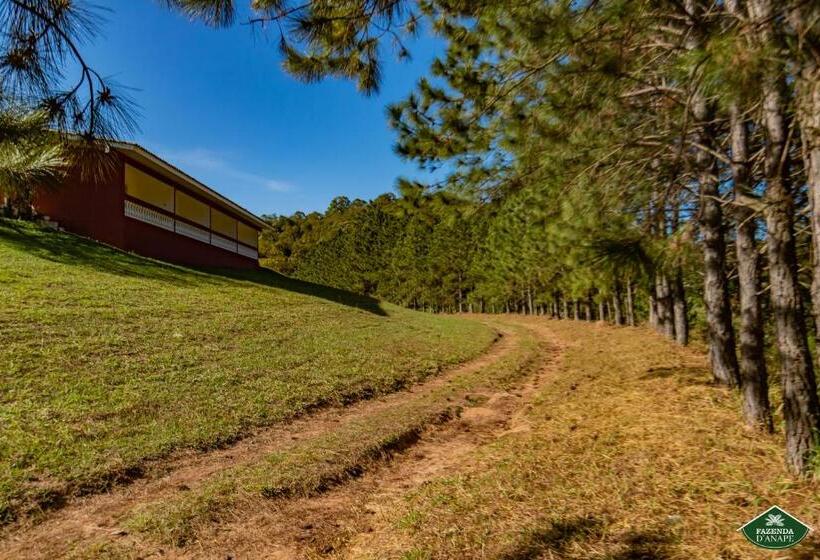 酒店 Fazenda D Anape