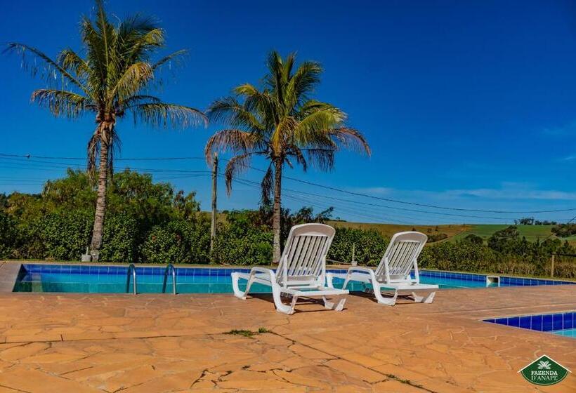 酒店 Fazenda D Anape