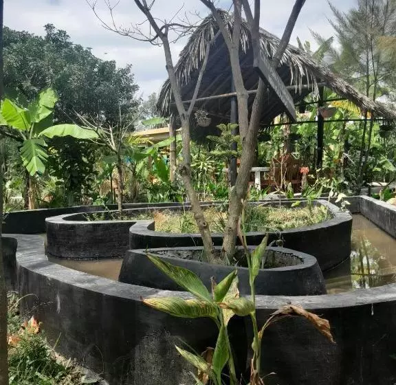 هتل Ubuntu Kreative Village