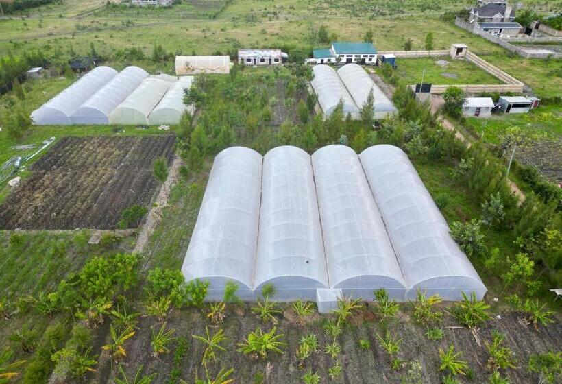 Hotel Ubuntu Kreative Village