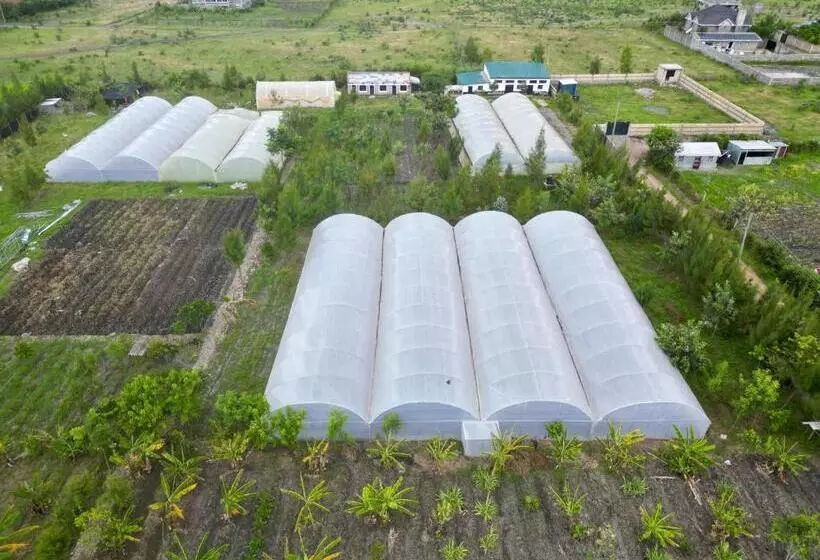 هتل Ubuntu Kreative Village