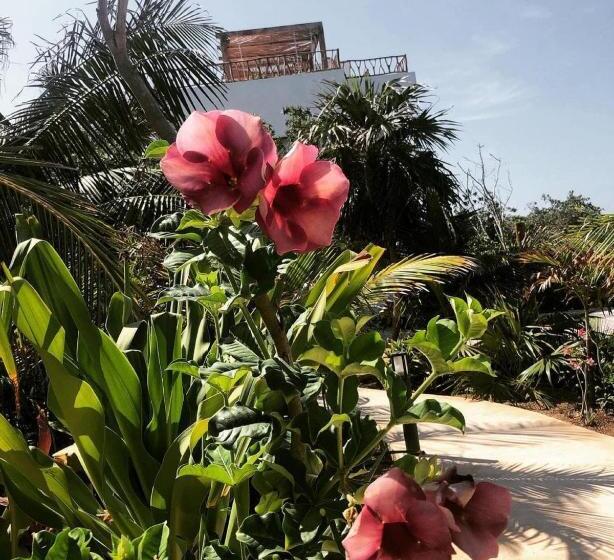 Ikal Island Garden Adults Only