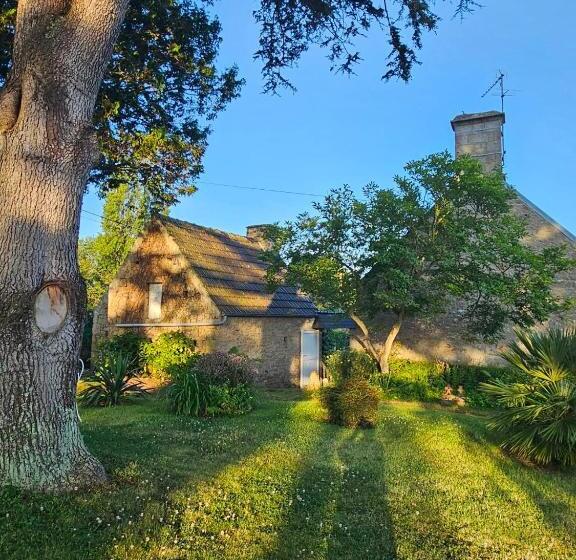 פנסיון Les 13 Lavoirs D Antan   Chambre Zen Attitude