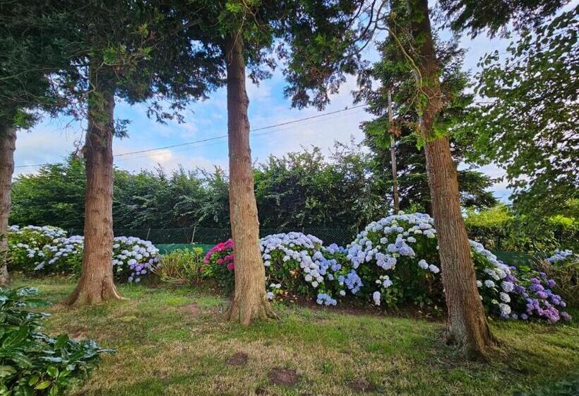 פנסיון Les 13 Lavoirs D Antan   Chambre Zen Attitude