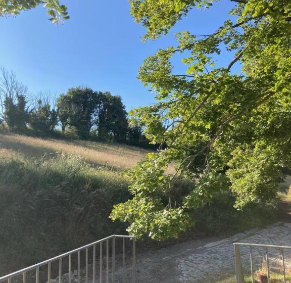 Bed and Breakfast L Amandière