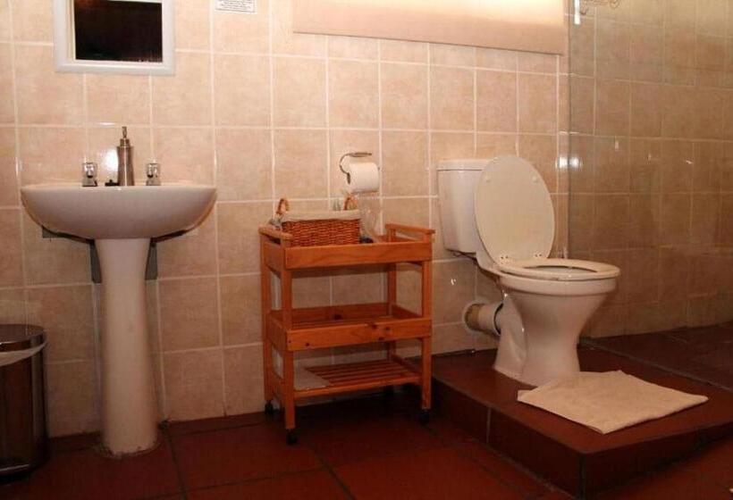 פנסיון Desert Rose Guesthouse