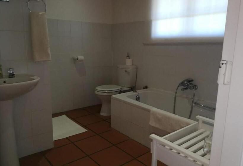 פנסיון Desert Rose Guesthouse