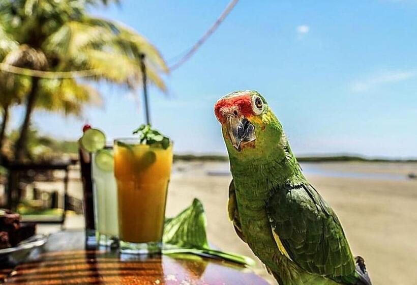 پانسیون Room In Guest Room Undefined