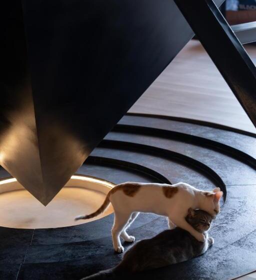 هاستل 吃山02救赎青年旅店