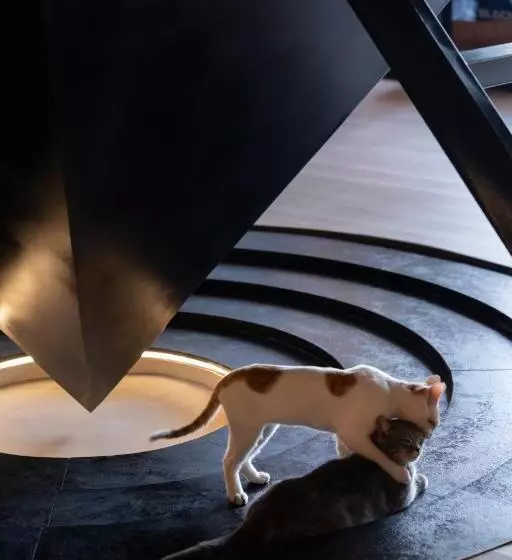 هاستل 吃山02救赎青年旅店