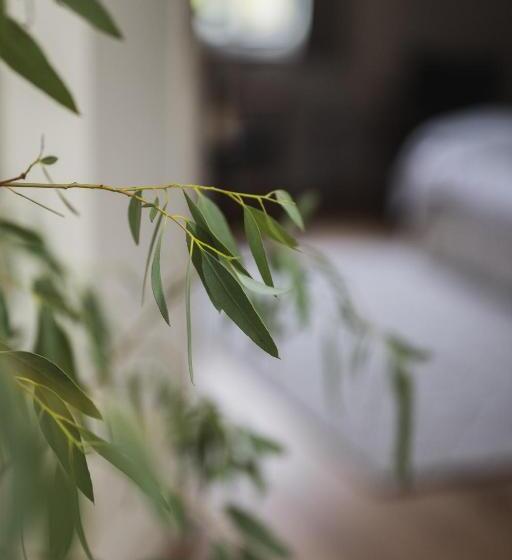 مبيت وإفطار Theoldschool Guesthouse