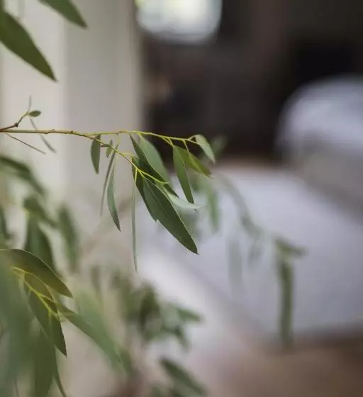 ベッドアンドブレックファースト Theoldschool Guesthouse