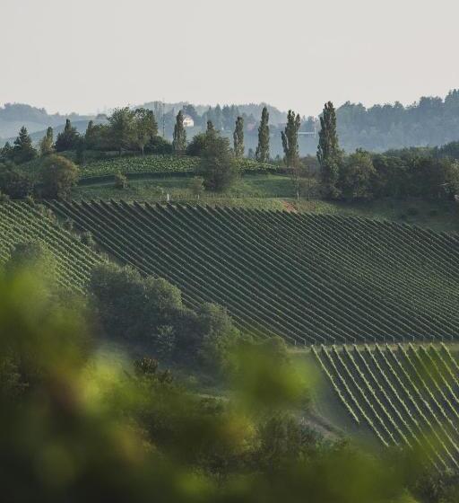 مبيت وإفطار Theoldschool Guesthouse