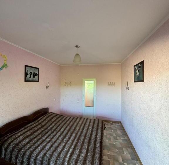 پانسیون Love Story