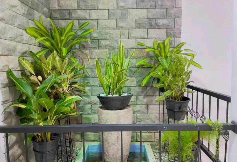 Majatalo The Hidden Gem Polhena