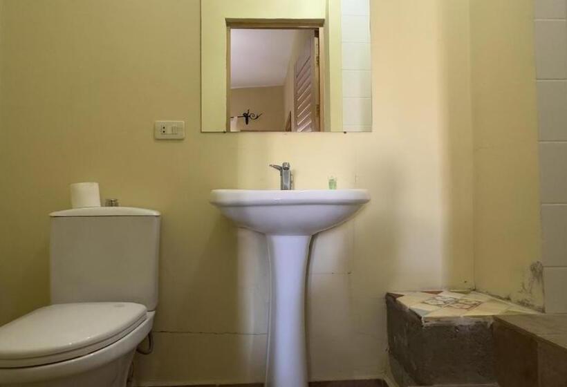 هاستل Villa Aleksandra