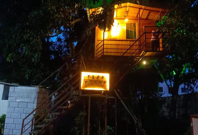 Green Island Nature Resort With Swimming Pool