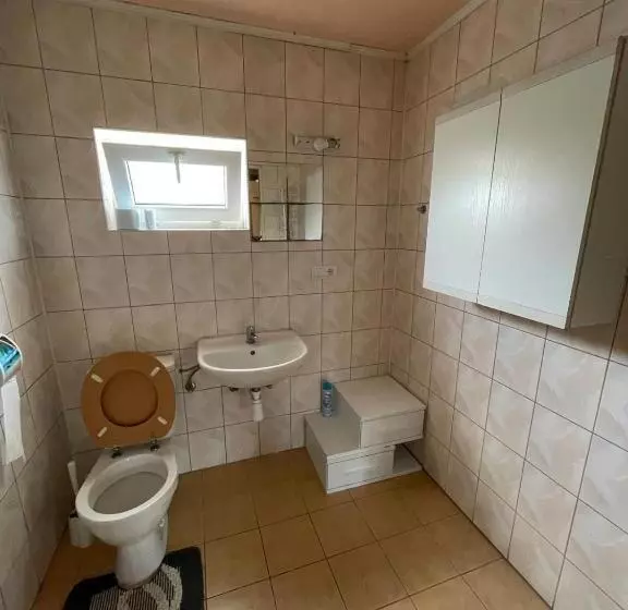 Hostinec  Pension U Havlů