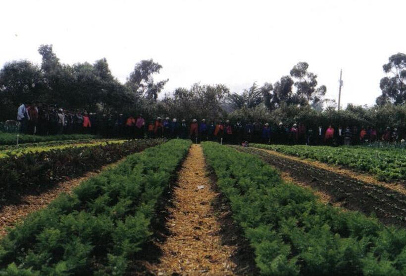 Pensionat La Casa De Simón