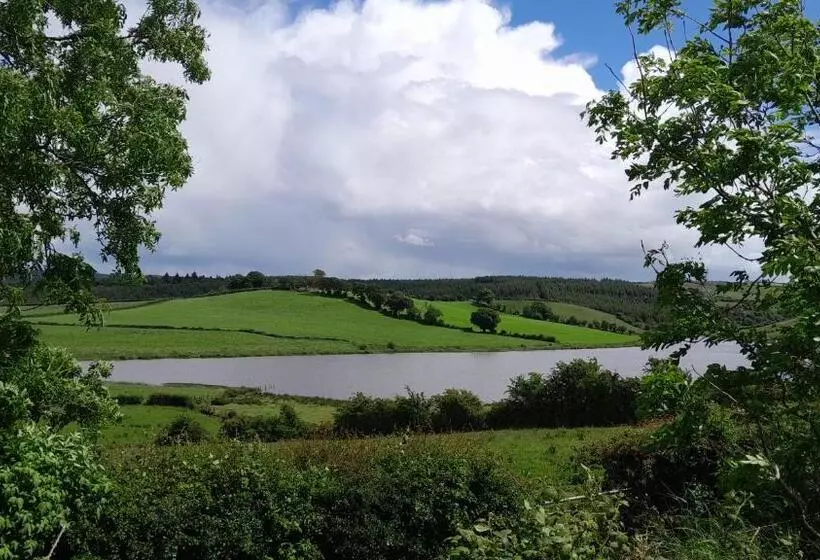 ホテル Tullynawood Glamping And Farm