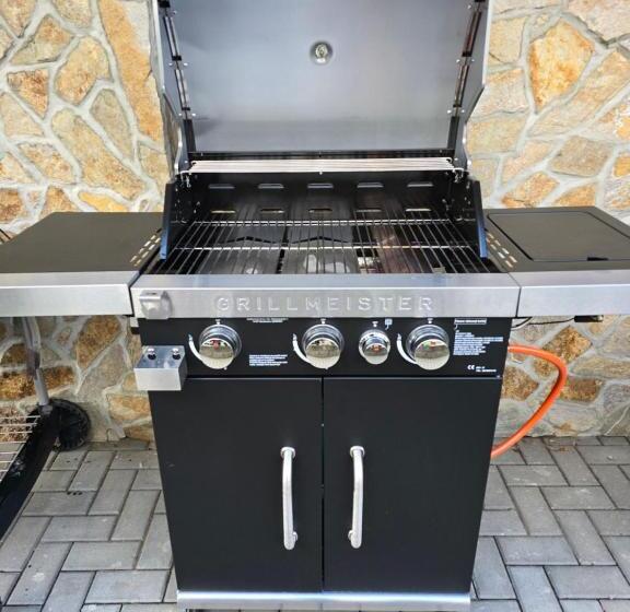 ペンション Apartmány Na Rychtě