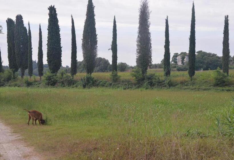 פנסיון Casa Dei Colli