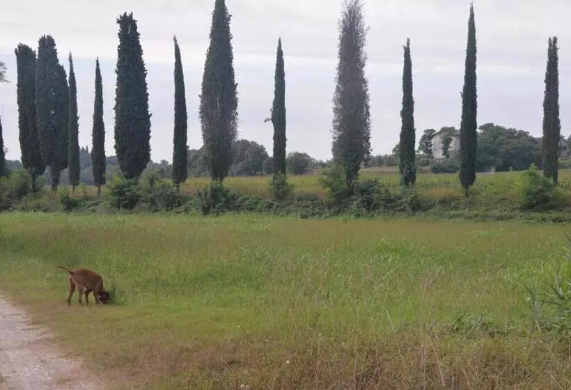 Majatalo Casa Dei Colli