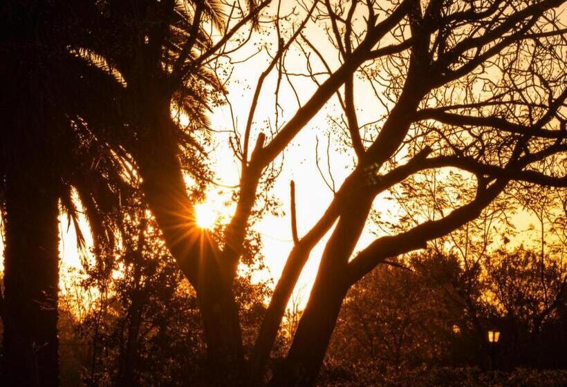 Pensão The White Castle