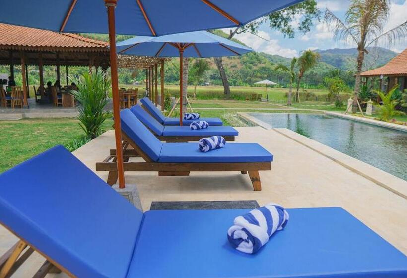 渡假胜地 Bhalance Retreat