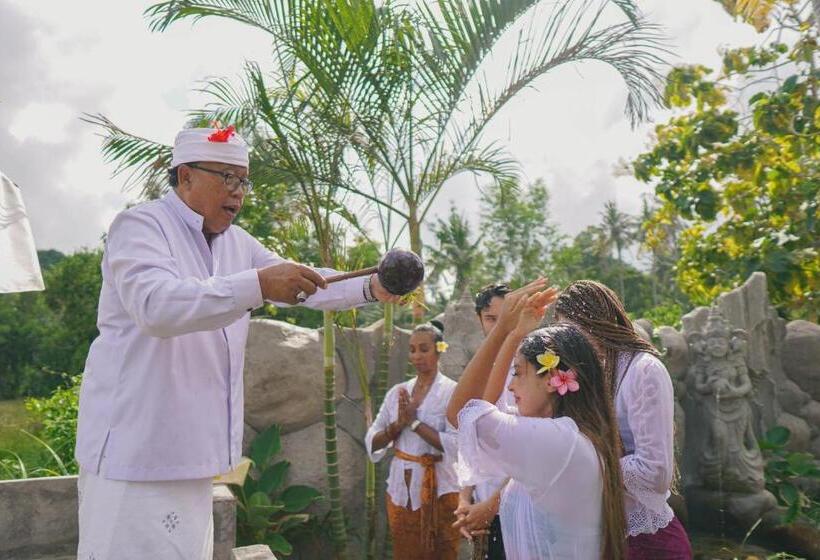 渡假胜地 Bhalance Retreat