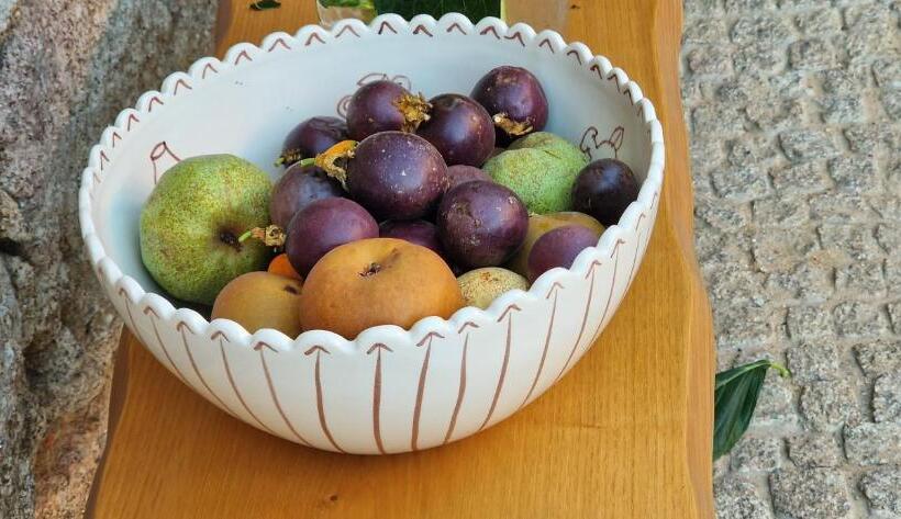 تختخواب و صبحانه Casa Lis