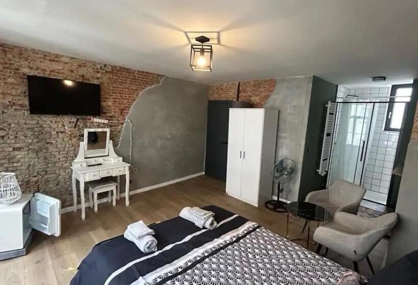 Cosy Room In Antwerp City