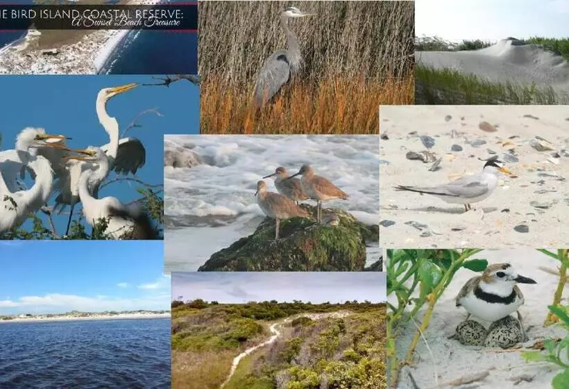 On Island Ocean View Beachy Studio In Campy 1970s Converted Motel