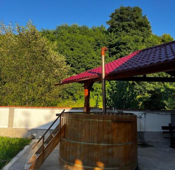 펜션 Casa Guriță