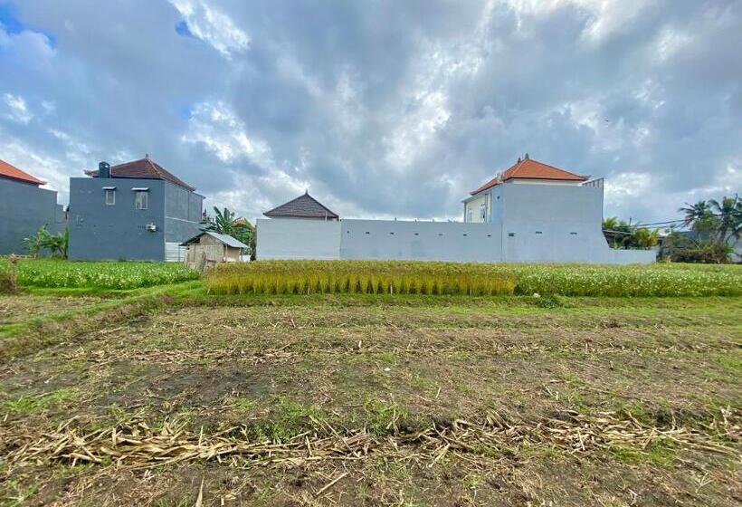 膳宿费 Villa Bali Umara Ubud