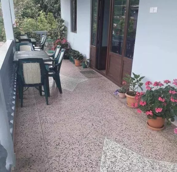 پانسیون Cicis House