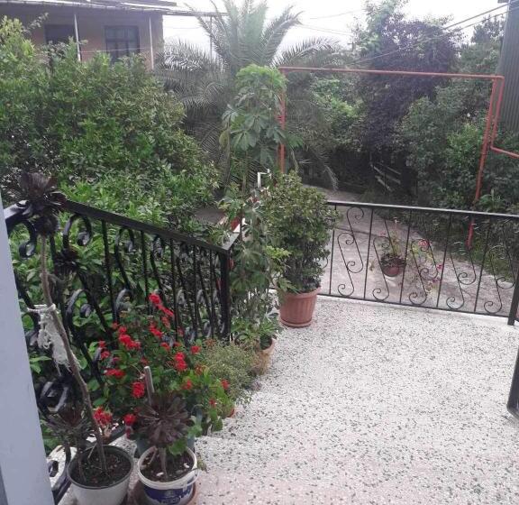 پانسیون Cicis House