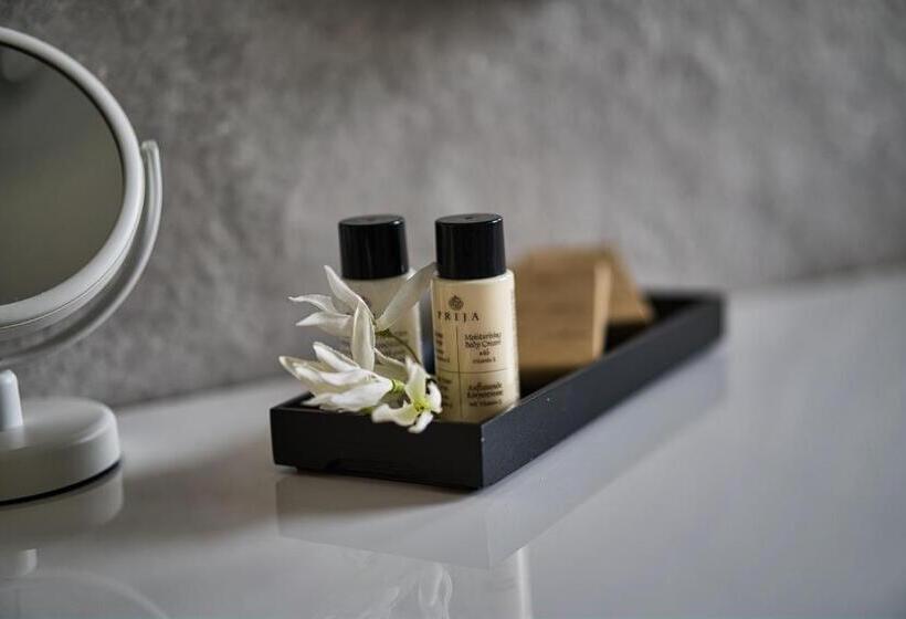 Пансион Dominus Luxury Apartment