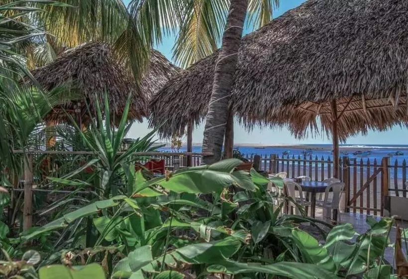 ペンション Room In Guest Room Fantastic Beach Front Room With Breakfast