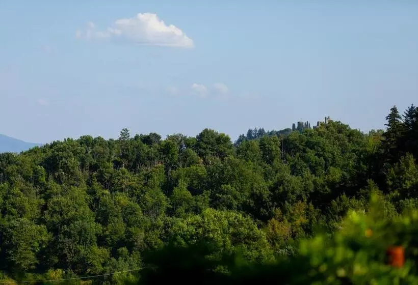 Aamiaismajoitus (B&B) Podere Giusto