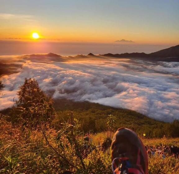 住宿加早餐  Volcano Vista Inn