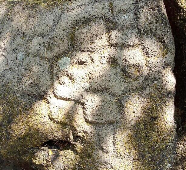 هتل کپسول Mamacita Café House