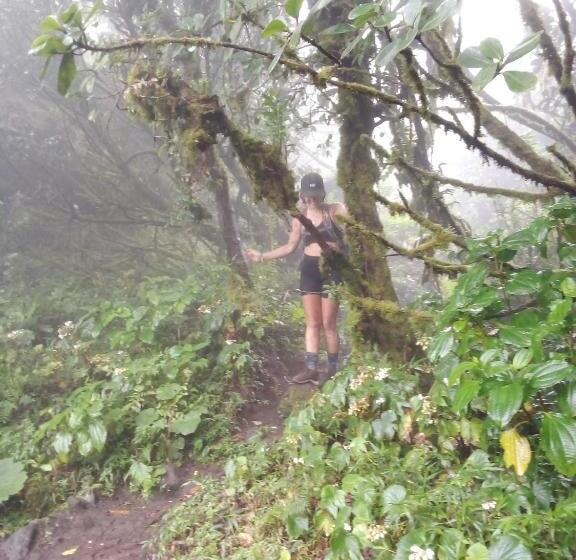 هتل کپسول Mamacita Café House